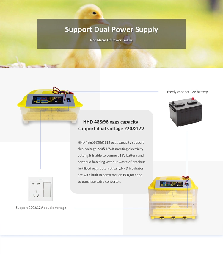 Hhd Cheap Mini Egg Incubator/Egg Hatcher/Brooder Yz8-48