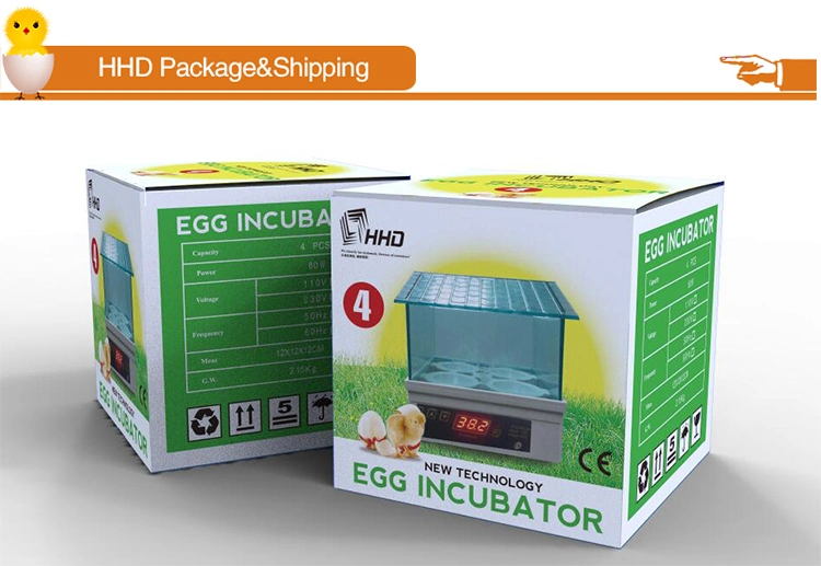 Hhd Professional Cheap Mini Egg Incubator for Sale for Children