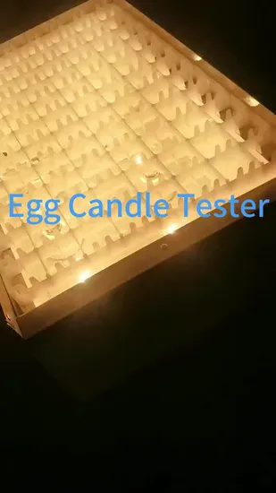 Scatola per uova, dispositivo speciale per uova, tester per uova di pollame da tavolo, candeliere