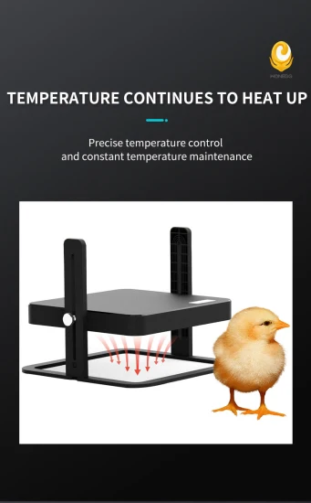 Wonegg New Bridge Allevatrice per 15 pulcini, Allevatrice di polli