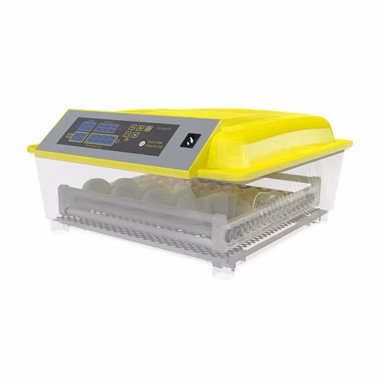 Mini incubatrice automatica per uova di gallina Hhd per pollame 48 uova piccole